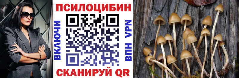 Псилоцибиновые грибы Magic Shrooms Североморск